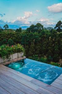 金巴亚Amanatu Ecolodge & Spa的享有森林景致的游泳池
