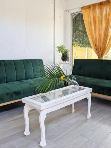 利比里亚Guesthouse Congo Tempisque的客厅配有绿色沙发和茶几
