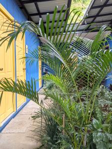 利比里亚Guesthouse Congo Tempisque的建筑前的一组植物
