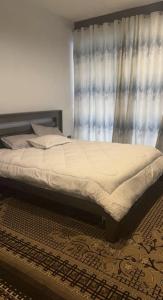卢萨卡Pisano Luxury Apartments的卧室内的一张带窗帘的床