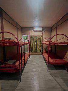 而连突Liana Hostel Taman Negara的一间客房内配有两张双层床的房间