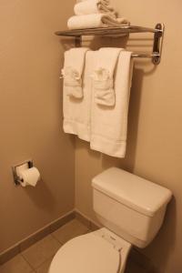奥兰治奥兰治橙色塔斯廷酒店的浴室配有白色卫生间和毛巾。