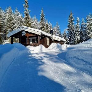 LjørdalVilla Fregn的雪中树下的小木屋