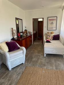 Port ElizabethHarbour View House的客厅配有两把椅子和一张沙发