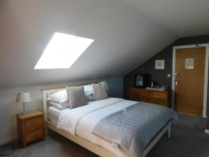 纽基Haven Lodge Newquay的一间卧室设有一张大床和天窗