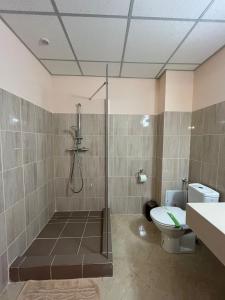 布加勒斯特Francesca Residence的带淋浴和卫生间的浴室