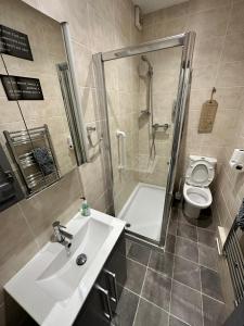 普里茅斯Plymouth Hoe Hideaway的一间带水槽、淋浴和卫生间的浴室