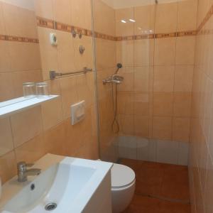苏科尚丰塔纳别墅公寓的带淋浴、卫生间和盥洗盆的浴室