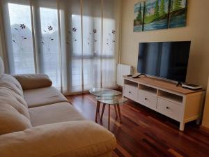 阿里纳斯·德·卡伯瑞勒斯24A01 Apartamento Cabrales的带沙发和平面电视的客厅