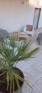 阿沃拉Scogliera apartments的桌子和椅子的房间里的植物