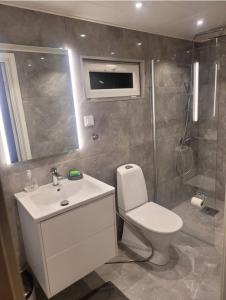 厄勒布鲁2 bed room Quite and central house in Orebro的浴室配有卫生间、盥洗盆和淋浴。