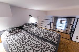 罗兹Apartamenty KOLUMNY 217 parking bezpłatny的一间卧室设有两张床和窗户。