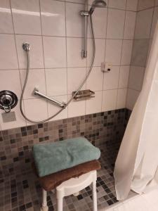 凯沃拉尔祖尔布吕克酒店的浴室设有淋浴,凳子上备有绿毛巾