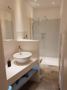普特布斯DTS Appartements的一间带水槽和淋浴的浴室