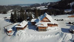 HutyKoliba Holica的山顶上积雪覆盖的房子
