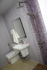 埃里温Nice Hotel Yerevan的一间带卫生间、水槽和镜子的浴室