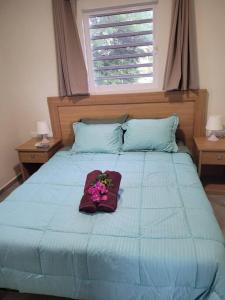 威利布罗德Local Willibrord Lodge的一张蓝色的床,上面有一束鲜花
