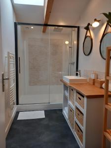 拉布雷德Maison Esprit Des Lois的带淋浴和盥洗盆的浴室