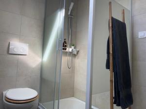 蓬塔利耶Cocon Pontissalien的带淋浴、卫生间和盥洗盆的浴室