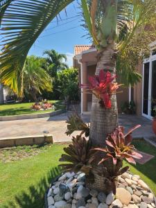 波特莫尔Caribbean Estates, 10 mins from the Beach, Beautiful Gated Community的房屋前的棕榈树