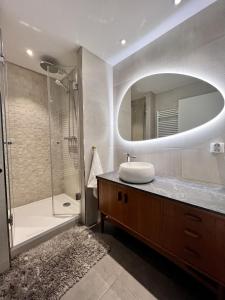 阿格诺Centre ville Haguenau - 5pers的一间带水槽、淋浴和镜子的浴室
