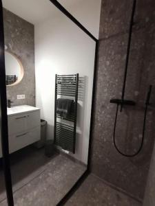 布鲁日CoZB的带淋浴、盥洗盆和镜子的浴室
