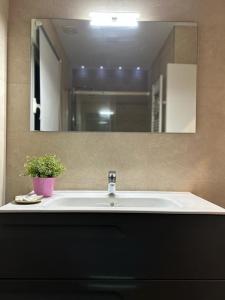 GarrayCasa La Rosada的浴室水槽,镜子前有盆栽植物