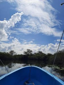 Santa ElenaHotel Colibrí Petén的从河上的船头上欣赏美景