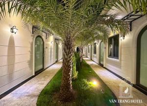 永隆VÂN TRANG GARDEN HOTEL 2的走廊上一排棕榈树