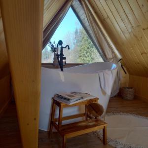 布科维纳-塔钱斯卡Babcia Góralka house的帐篷内的浴缸,设有窗户