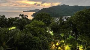 圣维森特岛Apartamento no topo da Ilha Porchat的海洋和一束树木的景色