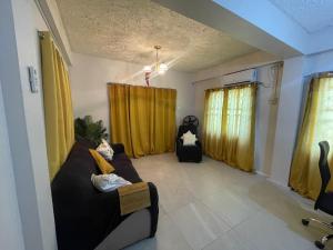 ArimaMango Vert House的客厅配有黄色窗帘和沙发