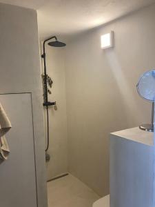 安特卫普Antwerp LOFT -ART and CHILL- Parking available的白色墙壁上带淋浴的浴室