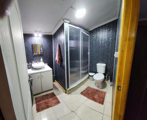 纳塔列斯港Casa en Puerto Natales的带淋浴、卫生间和盥洗盆的浴室