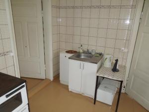 AizputeHoliday Home on Liepajas Street的一个带水槽和柜台的小厨房