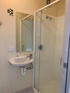 奥克兰Fort Street Accommodation的一间带水槽和玻璃淋浴的浴室