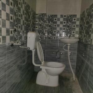 戈勒克布尔SPOT ON Hotel Paradise Inn的一间带卫生间和水槽的浴室