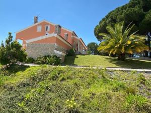 São João da RibeiraVilla very quiet, fantastic views, ideal for families, fun and relaxation.的前面有棕榈树的房子