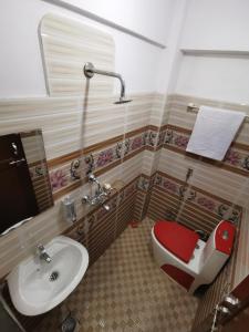 TānsenNatures Treat Homestay的一间带卫生间和水槽的浴室