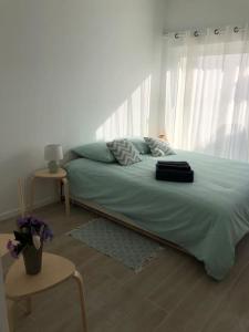 Bénesse-MaremneStudio dans impasse proche plages Hossegor的一间卧室配有一张带绿色床单的大床