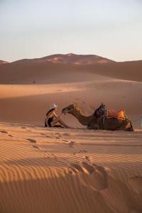 梅尔祖卡Beldi camp的坐在沙漠骆驼旁边的人