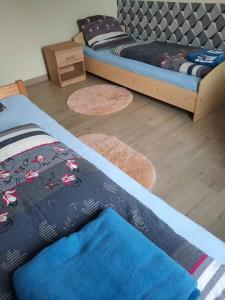 米耶伦科Pensjonat Wiktoria Mielenko的卧室配有两张床,地板上铺有2个地毯。