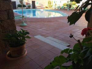 巴哈撒丁岛吉美拉别墅酒店的游泳池旁边种有盆栽植物