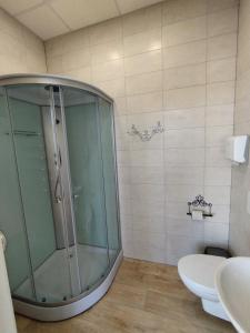 希卢泰Eglutė的一间带玻璃淋浴和卫生间的浴室