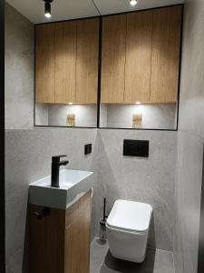 戈尔利采Apartament 3 Maja 4的一间带水槽、卫生间和橱柜的浴室