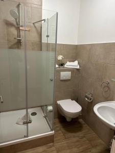 SüselGasthaus AFINA的带淋浴、卫生间和盥洗盆的浴室