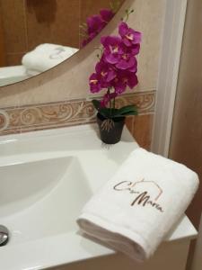 奥利文萨Casa Maria的浴室水槽上一条毛巾和花瓶
