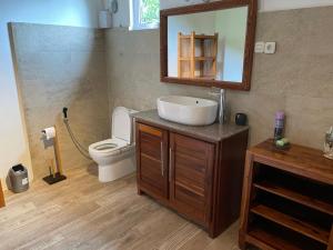 托舵道斯Top floor studio -Villa Ibiza的一间带水槽、卫生间和镜子的浴室