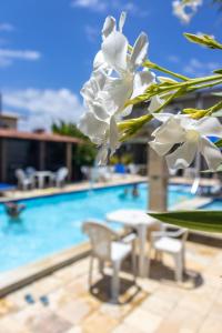 普拉亚弗朗西丝鲍萨达卡纳马利旅馆的游泳池旁的一束白色花