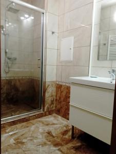 布拉格Apartments Captain Grand Prague的带淋浴和盥洗盆的浴室